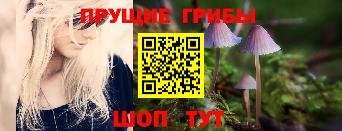 Артём  Галлюциногенные грибы Magic Shrooms  Вход с VPN 
